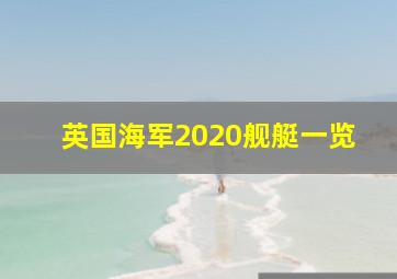 英国海军2020舰艇一览