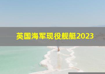 英国海军现役舰艇2023