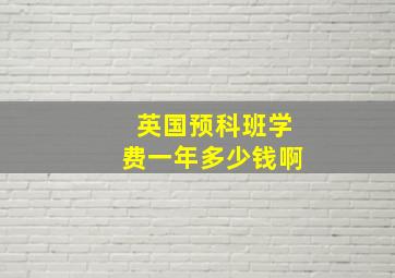 英国预科班学费一年多少钱啊