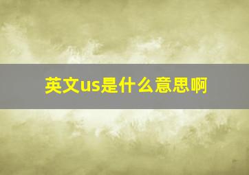 英文us是什么意思啊