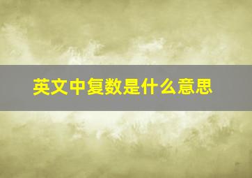 英文中复数是什么意思