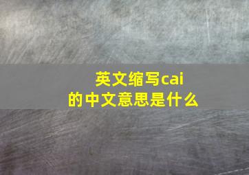 英文缩写cai的中文意思是什么