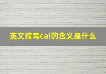 英文缩写cai的含义是什么