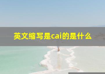 英文缩写是cai的是什么