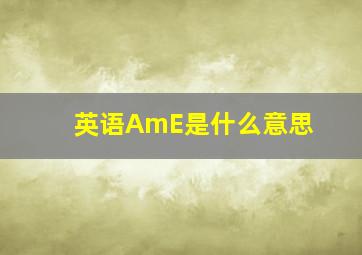 英语AmE是什么意思