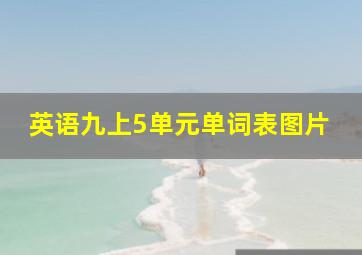 英语九上5单元单词表图片