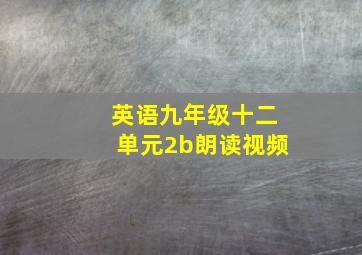 英语九年级十二单元2b朗读视频