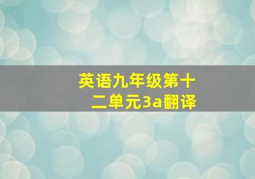 英语九年级第十二单元3a翻译