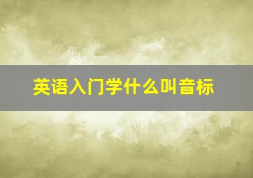 英语入门学什么叫音标