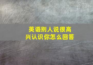 英语别人说很高兴认识你怎么回答