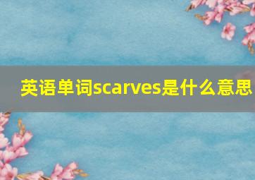 英语单词scarves是什么意思