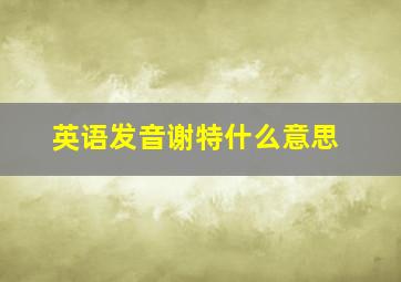 英语发音谢特什么意思