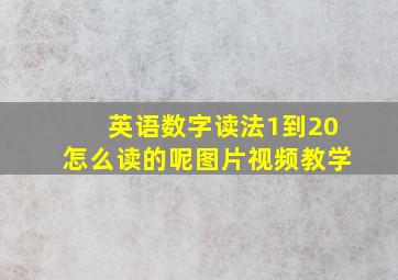 英语数字读法1到20怎么读的呢图片视频教学