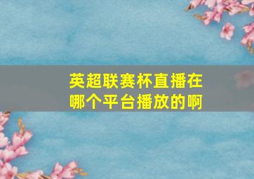 英超联赛杯直播在哪个平台播放的啊