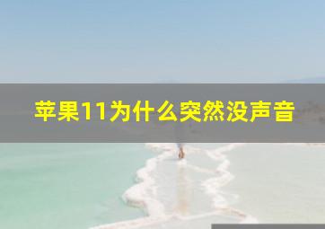 苹果11为什么突然没声音