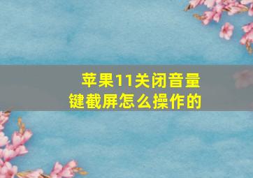 苹果11关闭音量键截屏怎么操作的