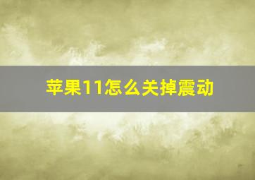 苹果11怎么关掉震动