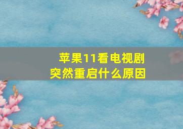 苹果11看电视剧突然重启什么原因