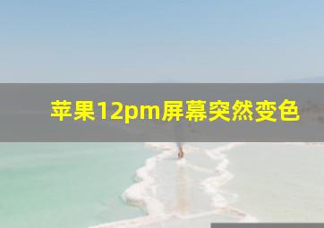 苹果12pm屏幕突然变色