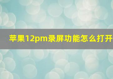 苹果12pm录屏功能怎么打开