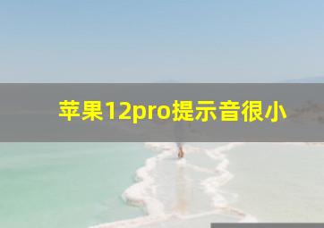 苹果12pro提示音很小