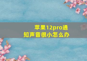 苹果12pro通知声音很小怎么办