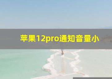 苹果12pro通知音量小