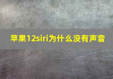 苹果12siri为什么没有声音