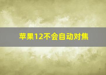 苹果12不会自动对焦