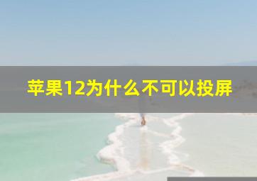 苹果12为什么不可以投屏