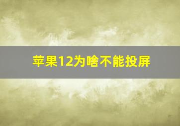 苹果12为啥不能投屏