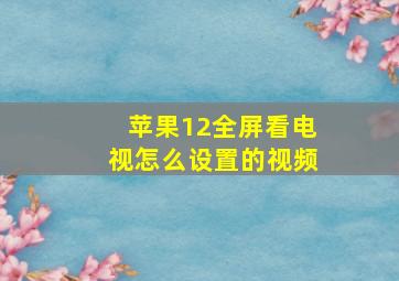 苹果12全屏看电视怎么设置的视频