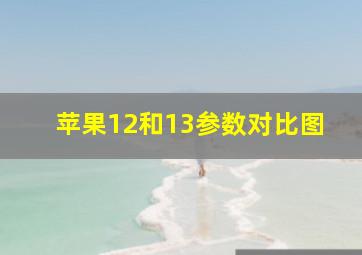 苹果12和13参数对比图