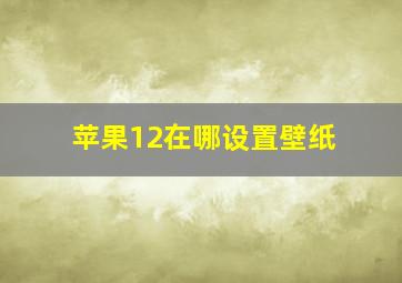 苹果12在哪设置壁纸