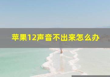 苹果12声音不出来怎么办