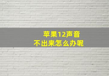 苹果12声音不出来怎么办呢