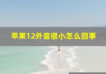 苹果12外音很小怎么回事