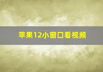 苹果12小窗口看视频