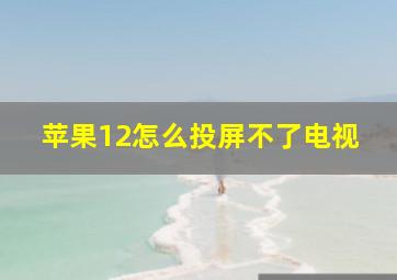 苹果12怎么投屏不了电视