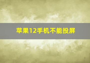 苹果12手机不能投屏