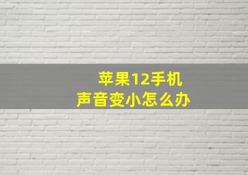 苹果12手机声音变小怎么办