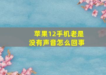 苹果12手机老是没有声音怎么回事