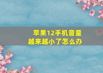 苹果12手机音量越来越小了怎么办