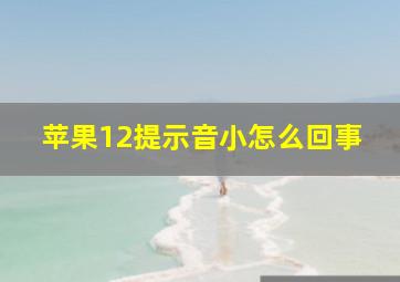 苹果12提示音小怎么回事