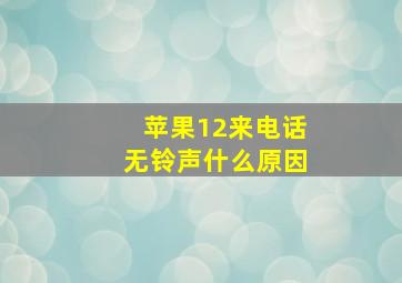 苹果12来电话无铃声什么原因