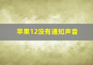 苹果12没有通知声音