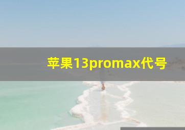 苹果13promax代号