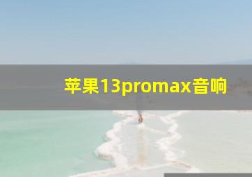 苹果13promax音响