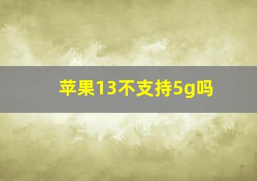 苹果13不支持5g吗