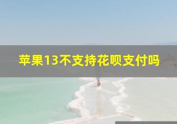 苹果13不支持花呗支付吗